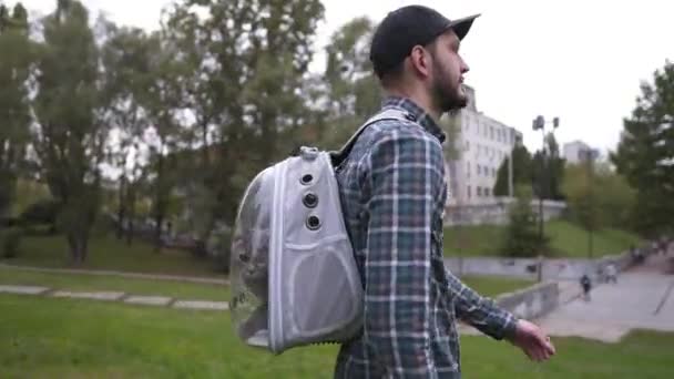 Vue arrière propriétaire de l'animal marche avec animal bulle sac à dos et porte chaton gris en elle. Homme utilisant un sac à dos avec un hublot pour son animal de compagnie. Sac créatif transparent pour animaux. Capsule respirante Carrier — Video