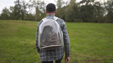 İnsan ve kedi parktaki şeffaf sırt çantasıyla seyahat ederler. Evcil hayvanla seyahat. Evcil hayvan için lombozlu erkek çantası. Sahibi köpüklü sırt çantasında kedi taşıyor. Gezgin çantasındaki hayvan.