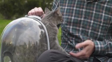Parkta evcil hayvan taşıyıcısı olan bir adam çimenlerde oturup evcil hayvanlarla oynar. Komik kedi sırt çantasının içinde sırt çantasından dışarı bakıyor. Hayvanlarla yürümek için solunabilir kapsül.