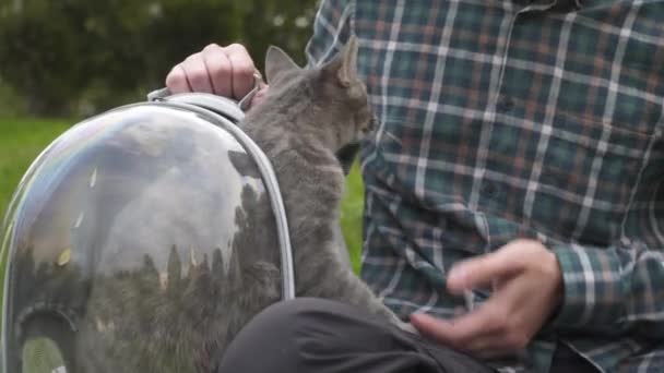 Man with fancy pet carrier outdoors in park sits on lawn and plays with pet. Funny cat looks out of backpack in transparent pet backpack. Carrier breathable capsule for hiking walking with animals — Stock Video