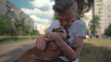90 yaşında, kır saçlı ve kırışıklıkları olan son sınıf öğrencisi bir kadın dışarıda küçük bir köpekle birlikte bankta oturuyor. Yaşlı kadınlar parkta bir bankta evcil hayvanlara sarılır..