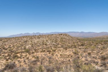 Arizona, ABD 'deki Saguaro Ulusal Parkı' nın geniş bir manzarasında açık mavi gökyüzü altında engebeli dağlar ve çöl tepelerini kaplayan sayısız Saguaro kaktüsü sergileniyor..