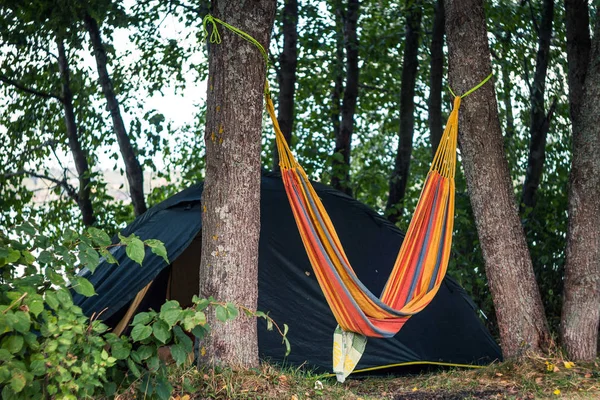 Hammock between two trees and a tent