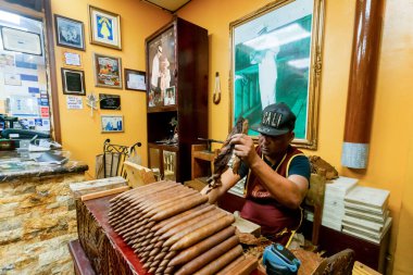 Little Havana, Miami, Florida / USA-06.06.2019 Little Havana puro dükkanında puro yapan ve saran adam, geleneksel Küba el sanatları  