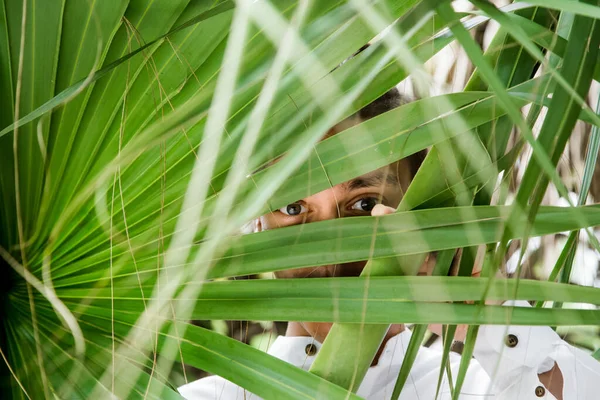 Jovem Retrato Homem Camisa Branca Escondendo Seu Rosto Atrás Folhas — Fotografia de Stock