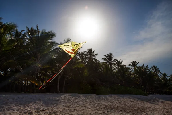 Grappig Geel Vlieger Vliegen Lucht Het Zonlicht Aan Het Zandstrand Stockafbeelding