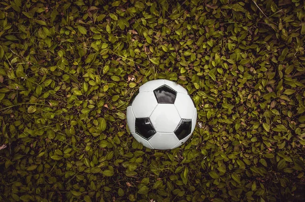 classic black and white soccer ball on green grass