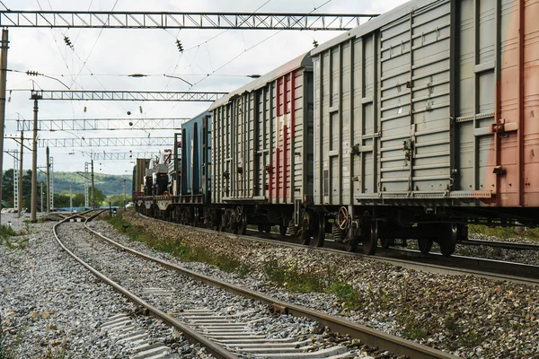 Vagões Com Ganso Estrada Ferro — Fotografia de Stock