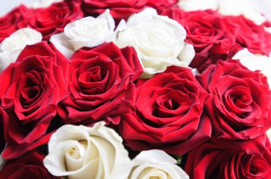 doğal ışık kırmızı beyaz gül buketi