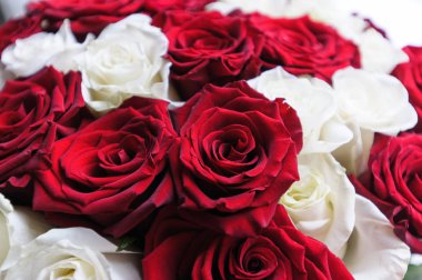 doğal ışık kırmızı beyaz gül buketi