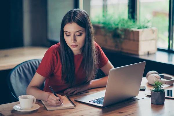 Bruna intelligente ragazza che studia in caffè, utilizzando il computer portatile con fr — Foto Stock