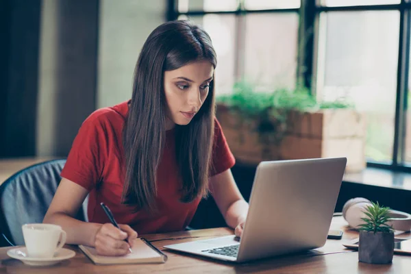 Mujer joven concentrada e inteligente que estudia en la cafetería, utilizando —  Fotos de Stock