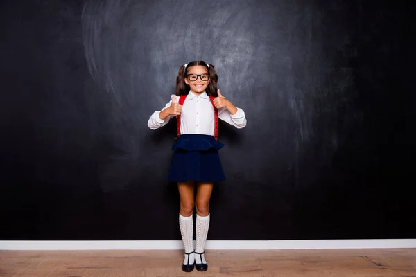 Volledige grootte lichaamslengte van mooie slimme schattig stijlvol schattig klein — Stockfoto