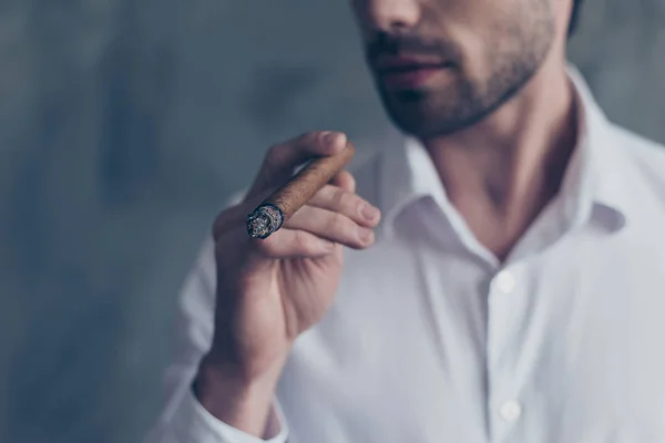 Stilig Brunet Eleganta Attraktiva Välklädd Man Med Fokus Anläggning Cigarr — Stockfoto
