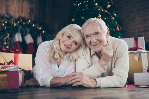 Två milda söta anbud härlig söt glada vackra grå hår — Stockfoto