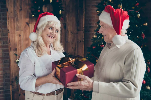 Porträtt av två fina glad glad glad vackra charmiga — Stockfoto