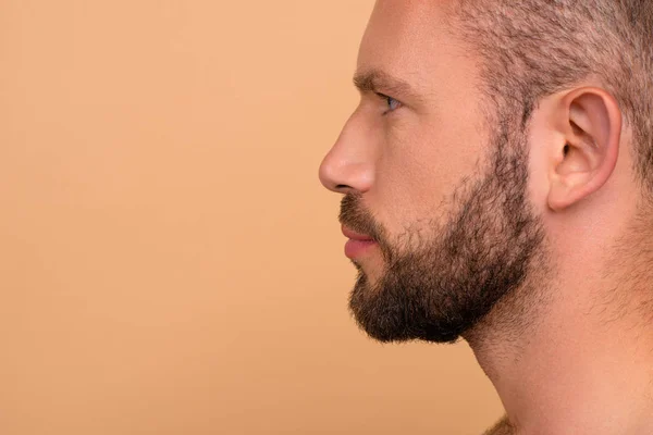 Close-up cropped profile side view portrait of nice concentrated — Stock Photo, Image