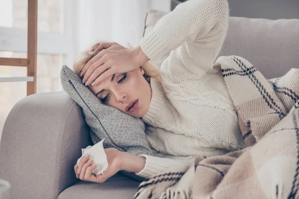 Porträt Einer Schönen Gepflegten Attraktiven Dame Die Auf Einem Sofa — Stockfoto