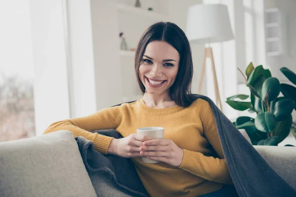 Portret Van Leuk Schattig Aantrekkelijke Mooie Zoete Fascinerende Winsome Vrolijke — Stockfoto