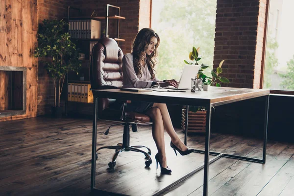 Profile side view of nice lovely attractive charming elegant focused wavy-haired lady high heels shoes typing marketing text on laptop at work place station open space loft interior