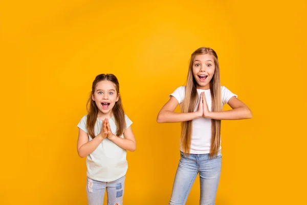 Retrato de dos guapos guapos de moda dulce atractivo bonito alegre alegre alegre positivo de pelo recto niñas dobladas manos pidiendo aislado sobre brillante brillante brillante fondo amarillo —  Fotos de Stock