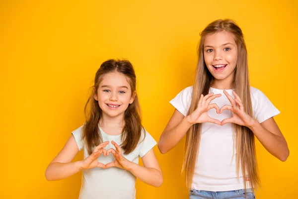 Retrato de dois agradável atraente agradável doce alegre alegre positivo caucasiano meninas se divertindo mostrando saudável coração isolado sobre brilhante vívido brilho amarelo fundo — Fotografia de Stock