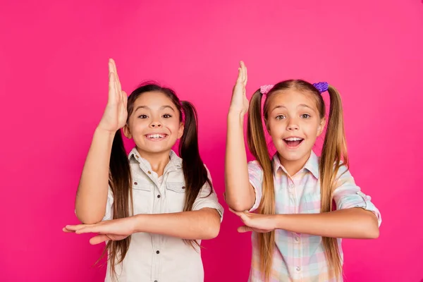 De cerca foto dos pequeña pequeña edad que sus niñas levantan los brazos en la escuela mendicidad profesor respuesta tema vistiendo vaqueros vaqueros a cuadros camisas aisladas rosa vibrante fondo vívido —  Fotos de Stock