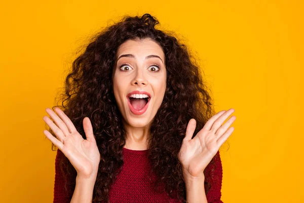 De cerca la foto increíble hermosa atractiva su dama gritando en la tienda de centro comercial ruidoso viernes negro vistiendo granate de punto ropa de jersey traje aislado amarillo brillante fondo — Foto de Stock