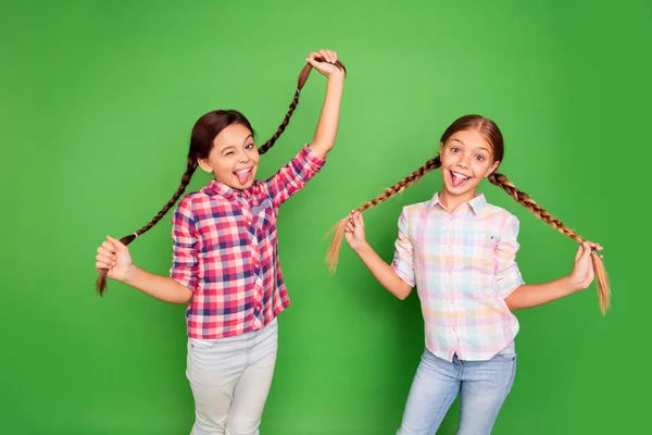 Ritratto di due belle dolci carino divertente allegro allegro allegro positivo pre-teen ragazze che indossano camicia a quadretti divertirsi giocando con le code isolate su sfondo verde brillante brillante vivido — Foto Stock