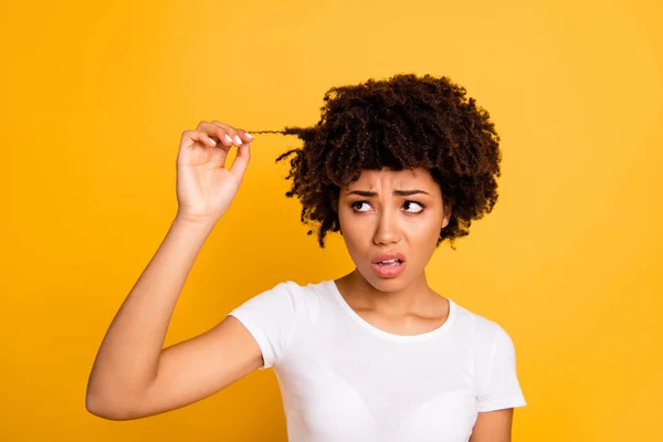 Close-up portrait of her she nice attractive worried wavy-haired lady touching finding damaged thick curl spa renovation clinic procedure needed isolated on bright vivid shine yellow background — Stock Photo, Image