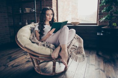 Close up photo beautiful brunette she her lady living room relaxing covered blanket read favorite adventure plot part chapter wearing domestic home apparel clothes outfit sit comfy arm-chair clipart