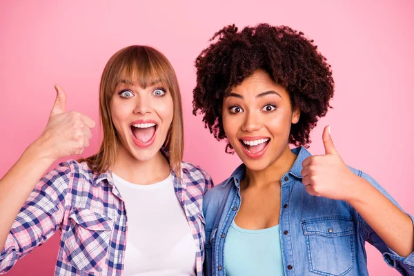 Close up photo two cheer diversity she her ladies different race love company each other thumb up advising buy buyer wear casual jeans denim checkered shirt clothes outfit isolated pink background — Stock Photo, Image