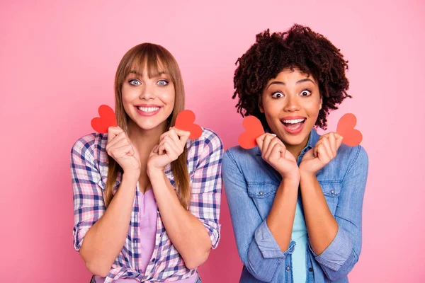 Close-up retrato de duas pessoas agradável bonito doce encantador encantador alegre meninas alegres vestindo camisa xadrez casual segurando em mãos pequenos cartões isolados sobre fundo pastel rosa — Fotografia de Stock