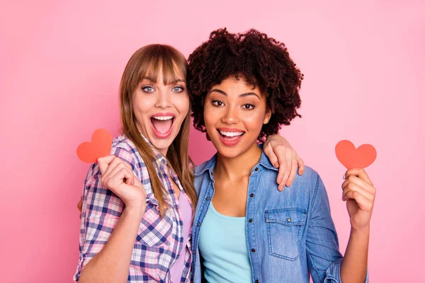 Close-up retrato de duas pessoas agradável bonito doce encantador encantador meninas alegres na camisa quadriculada segurando em mãos pequenos cartões abraçando isolado sobre fundo pastel rosa — Fotografia de Stock