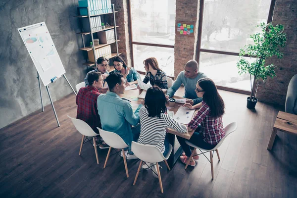 Picture of intelligent girl college experts analyzing solving education problems development strategy communicating coworking wearing casual shirts sitting indoors in comfort office — Stock Photo, Image