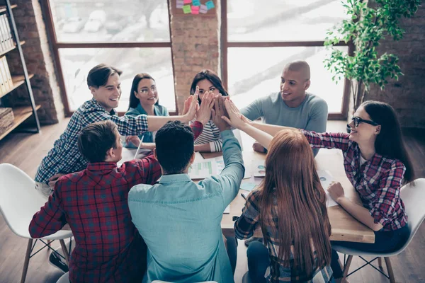 Vrolijke positieve duizendjarige studenten plaats Palms samen feliciteren hebben triomf meisjes overwinning in de ontwikkeling strategie project gekleed geruite shirts casual boardroom Office — Stockfoto