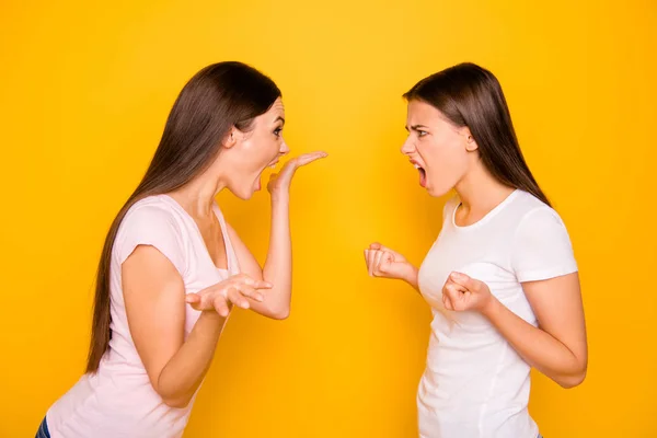 Portrait of nice-looking cute charming attractive irritated annoyed mad frustrated straight-haired girls disagreement having fight scandal claims isolated over bright vivid shine background — Stock Photo, Image