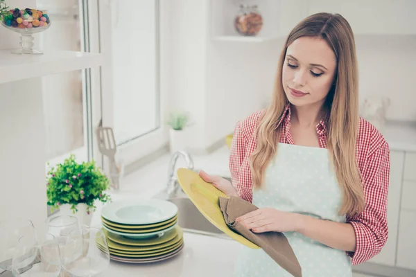 Close-up foto mooi ze haar Lady Cleaner heldere keuken huis Poolse controleren perfecte glanzende plaat servet voorbereiding familie vergadering vakantie verzamelen slijtage casual jeans denim shirt schort plat binnenshuis — Stockfoto