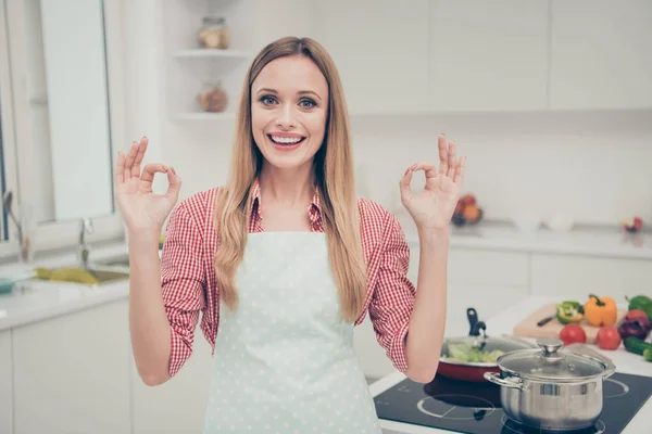 Close up photo beautiful she her lady successful expert mind prepared delicious dish okey symbol advertising advising tasty meals wear domestic shirt covered apron outfit bright house kitchen indoors — Stock Photo, Image