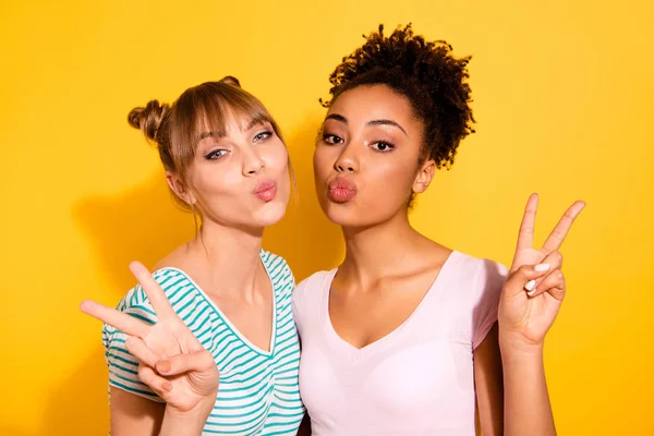 Close up photo beautiful she her her lady hold hands arms show v-sign send air kisses buddies fellows different nationalities wear casual white striped t-shirt clothes isolated yellow bright background —  Fotos de Stock