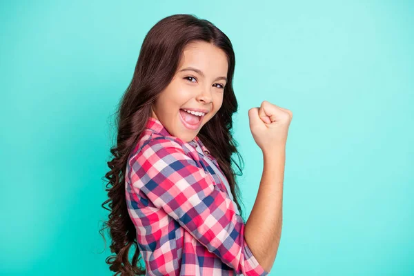 Retrato de encantador animado animado positivo alegre senhora pouco levantar punhos gritar sim gritar conseguir competição vestida xadrez roupas elegantes fundo teal isolado — Fotografia de Stock