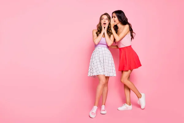 Full length body size view of nice-looking attractive charming lovely winsome adorable cheerful cheery girls sharing news isolated over pink pastel background — Stock Photo, Image