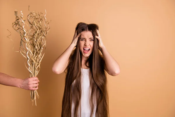 Retrato dela ela agradável-olhando atraente linda grumpy sombria senhora descontente segurando na mão flor seca confuso fino cabelo fraco cachos chevelure isolado no fundo pastel bege — Fotografia de Stock