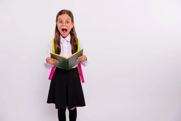 Ritratto di lei lei bello attraente bella intelligente allegro allegro positivo felicissimo pre-teen ragazza nerd holding in mani libro di esercizi isolato su sfondo grigio bianco chiaro — Foto Stock