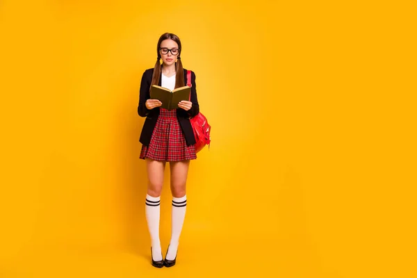 Longitud completa vista del tamaño del cuerpo de ella ella atractiva atractiva inteligente inteligente inteligente chica seria sosteniendo en las manos cursos de clases de libros preparación de prueba aislado sobre brillante brillante brillo amarillo fondo —  Fotos de Stock