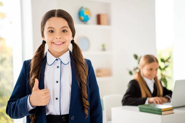 Retrato de duas pessoas agradável atraente encantador bonito lindo meninas alegres alegres da moda fazendo tema lição de casa novo ano acadêmico mostrando thumbup na sala de aula interior branco claro dentro de casa — Fotografia de Stock