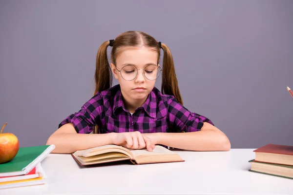 Portrait of her she nice attractive lovely charming cute focused concentrated intellectual brainy girl reading home work task isolated over grey violet purple pastel background