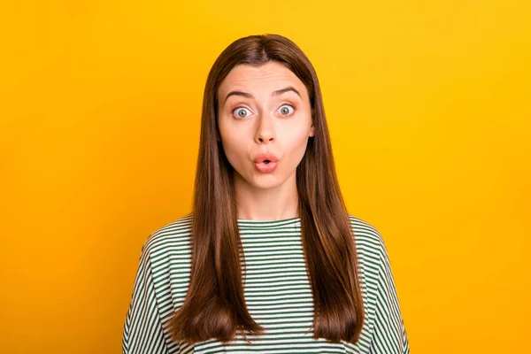 Foto van gevreesde meid die haar kat hoort praten met haar hamster terwijl hij geïsoleerd is met een gele achtergrond — Stockfoto