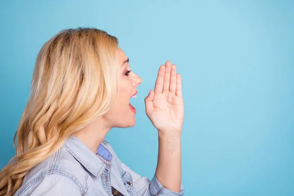 Foto del lado del perfil de la encantadora dama gritando gritando aislado sobre fondo azul —  Fotos de Stock