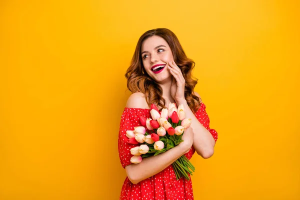 Bela foxy senhora segurando braços tulipas monte desgaste off-ombros vestido isolado amarelo fundo — Fotografia de Stock